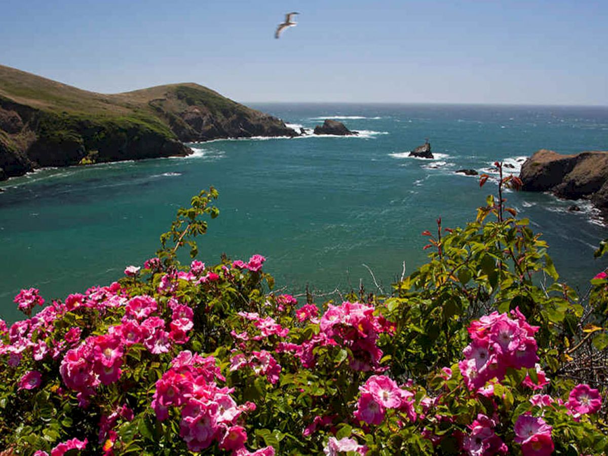 Agate Cove Inn